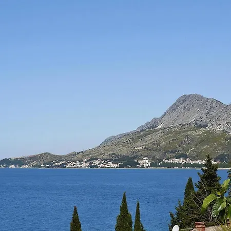 Ivan In Omis-nemira, Near The *